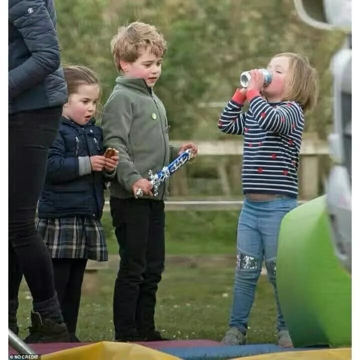 安妮的孙辈,安妮的孙女