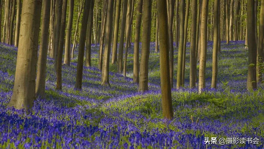 2018年度最佳摄影照片,创造出令人惊叹的自然摄影照片