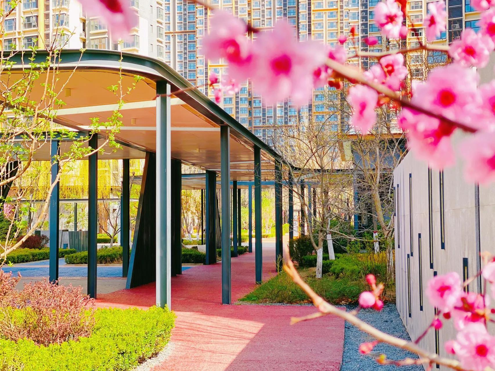 中兴和园二期的优缺点,杭州中兴和园的优缺点