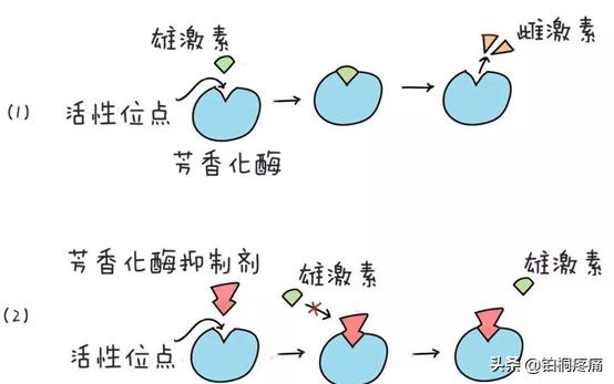 刀口痛、上肢痛...铂桐医疗为您解答造成乳腺癌疼痛的4大原因