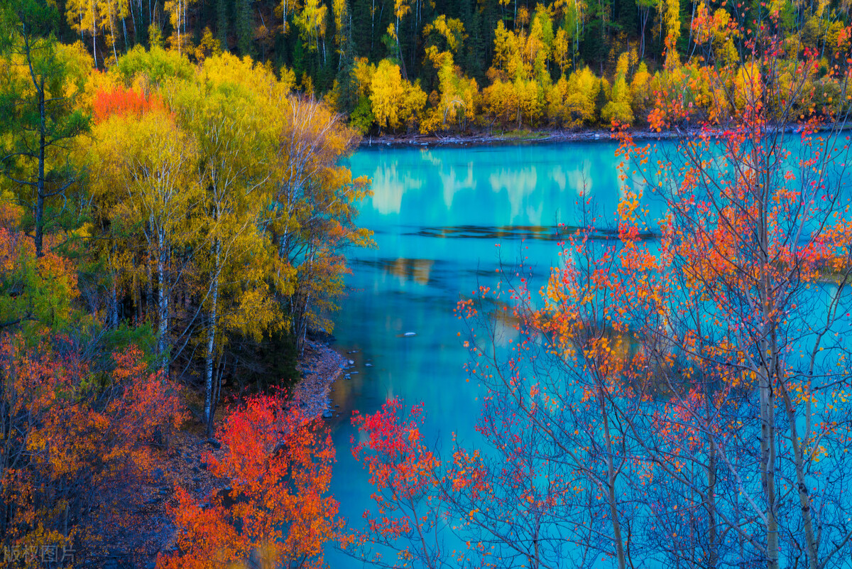治疗前列腺炎尿频尿不尽吃什么药,中医前列腺炎小便不利