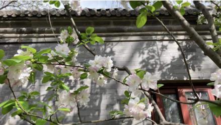 医学精神科前景,精神医学科为什么很少人报