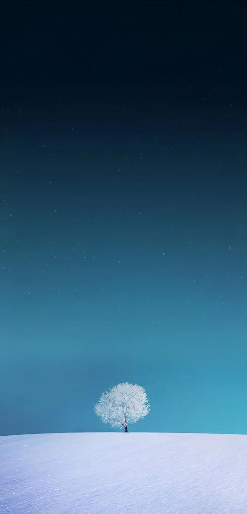 分享壁纸1148期,壁纸合集216期