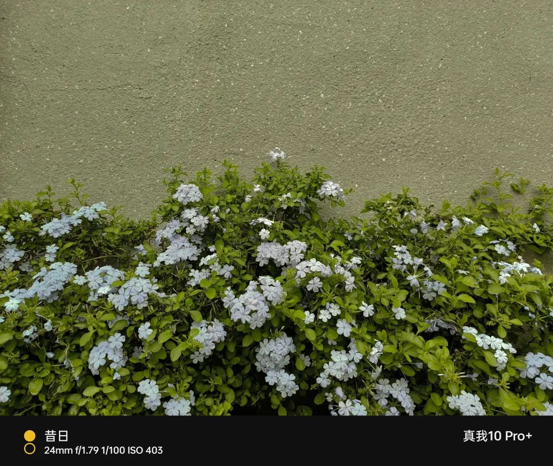 真我10pro超清三摄都有哪些,真我10pro手机一亿像素