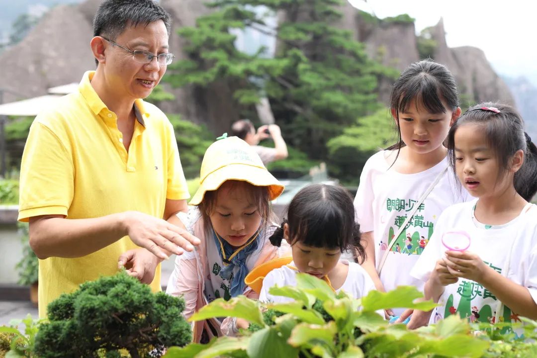 登山观日出云海,黄山观云朗诵合拍
