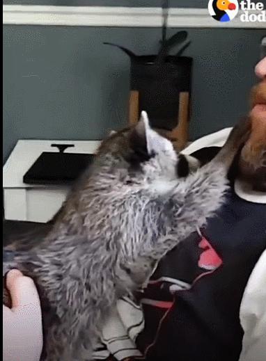 鍔犳嬁澶у皬娴g唺骞煎唇,鍔犳嬁澶у杺鍏诲皬娴g唺