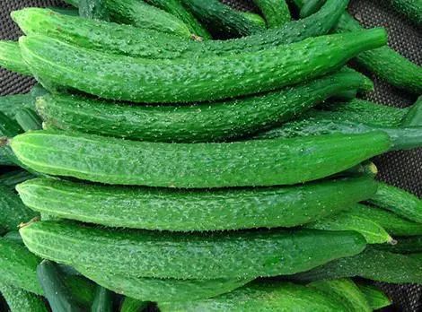 100元能在世界各地买什么,100元在世界各地都能买到什么