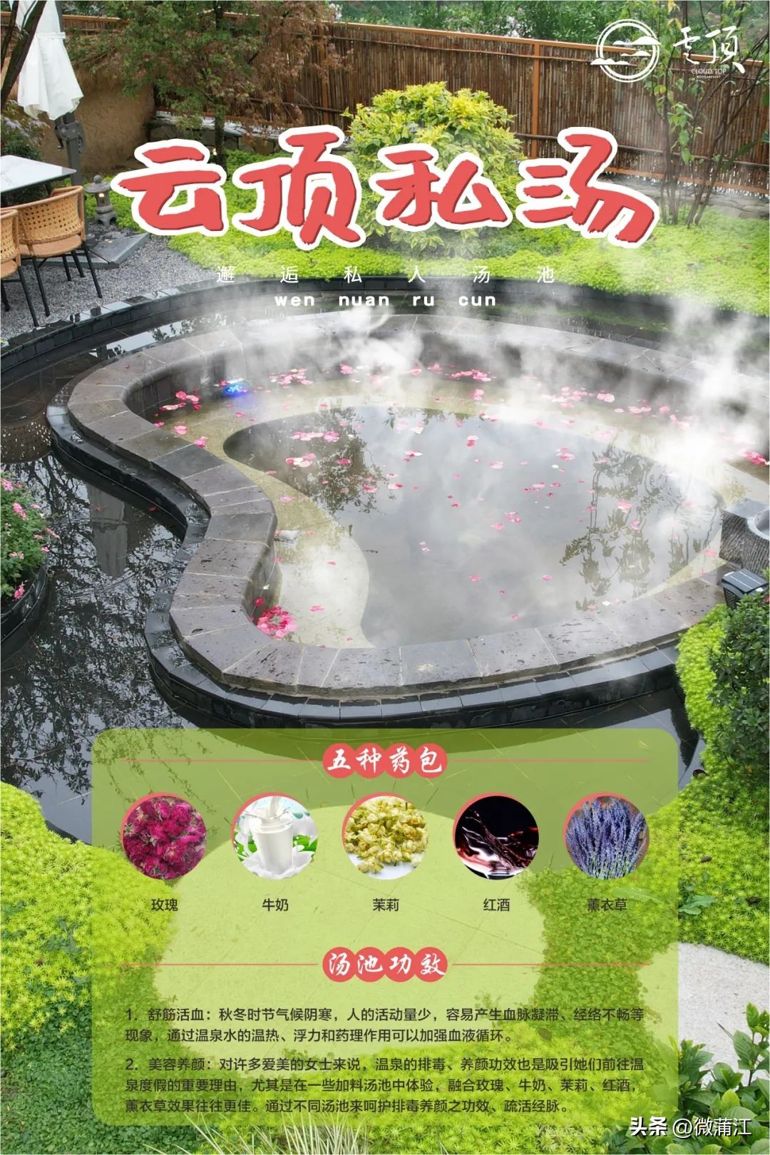 迎新春兔年促消费,迎新春促消费浓浓年味享不停