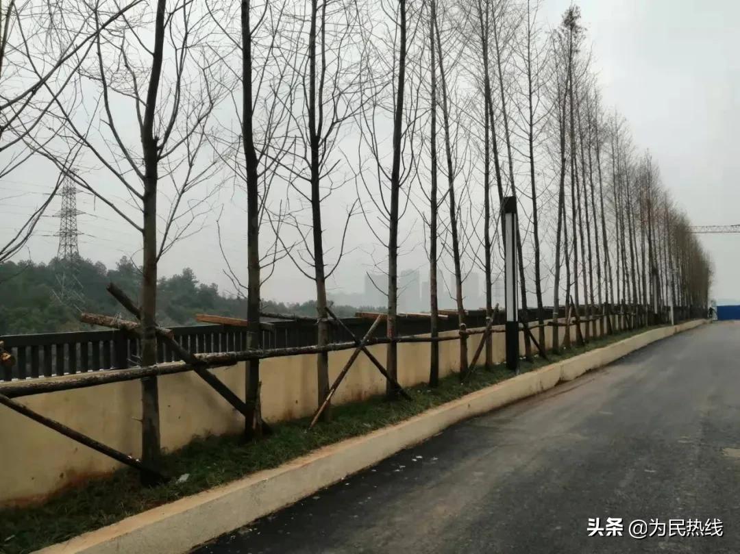 大雪天停电3天!高速噪音吵得想呕吐!长沙金科一小区被指太坑人