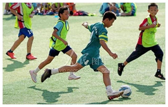 最坑人的培训班,目前培训学校哪些课程是坑人的