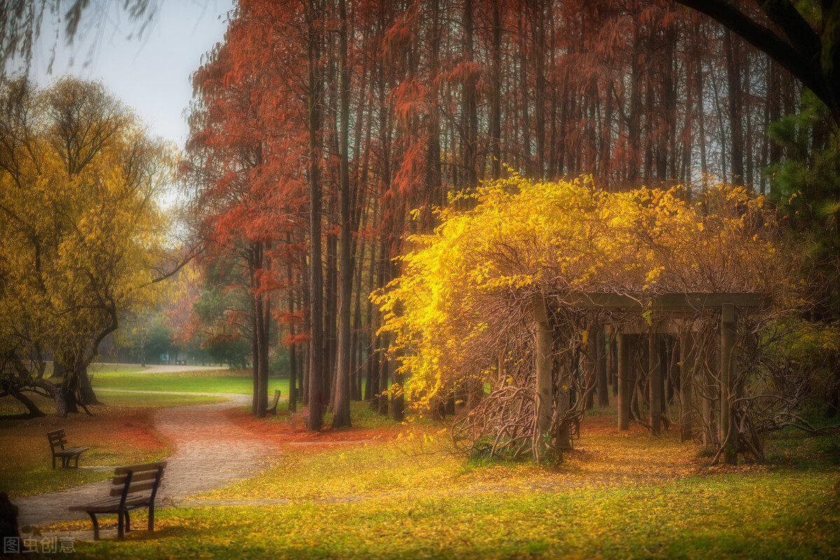 秋日上海好去处,上海秋日风景