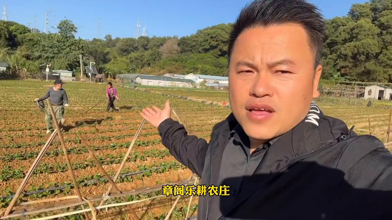 龙华康康22.5，泰恒诺19包嘴巴包床铺#深圳同城