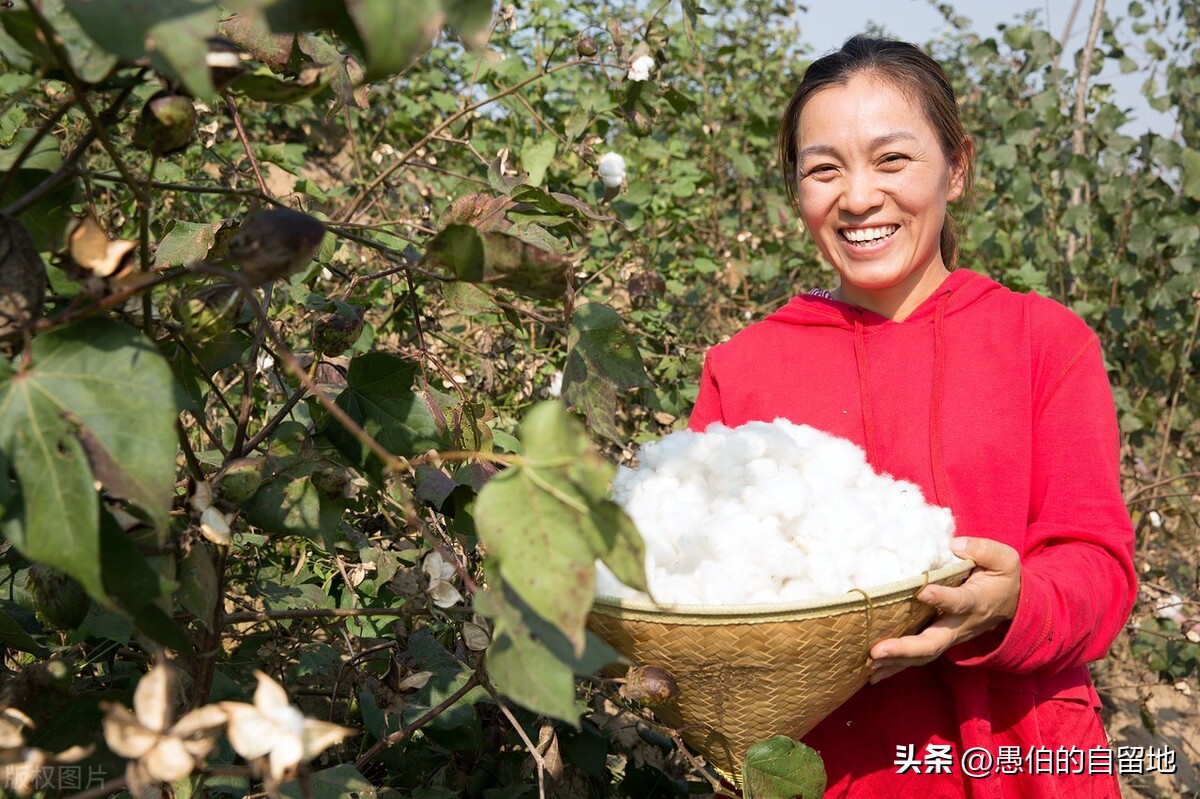 二婚试管生二胎后续,二婚试管生二胎的后果