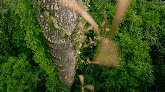 96岁还在奔波工作，这老爷子做出了今年9.8分神片