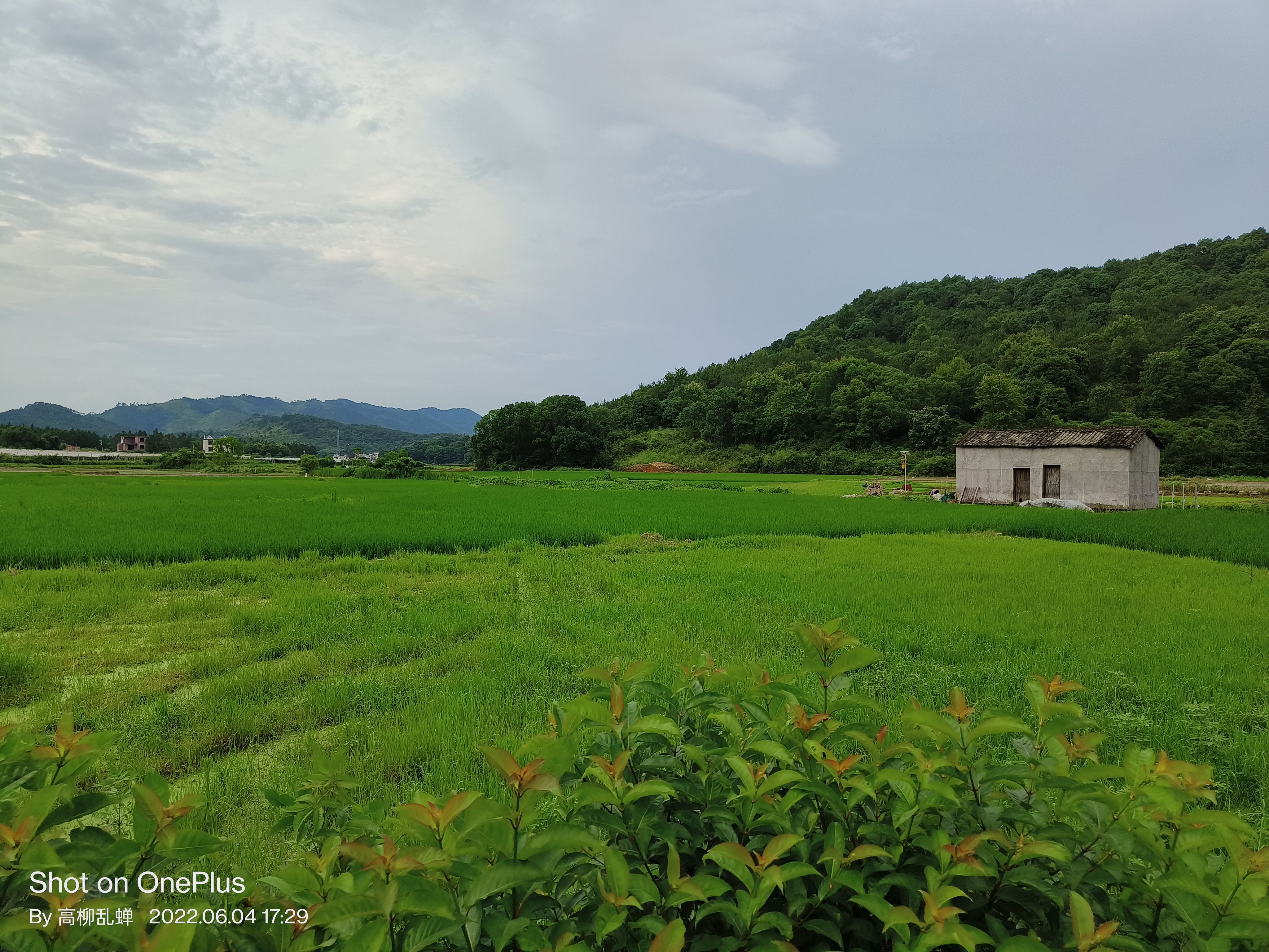 一加acepro和一加ace区别在哪,一加ace2pro和一加ace2oneplus的区别