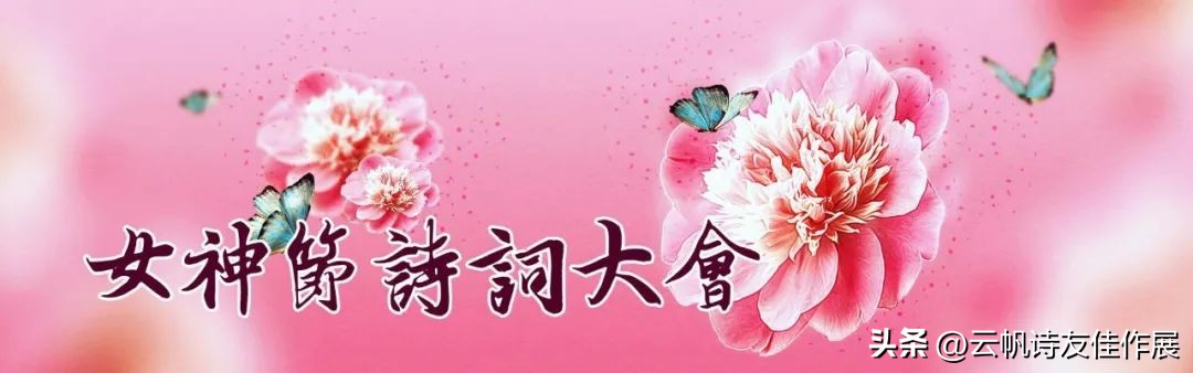 中国诗词大会2023,诗词大会最美的词