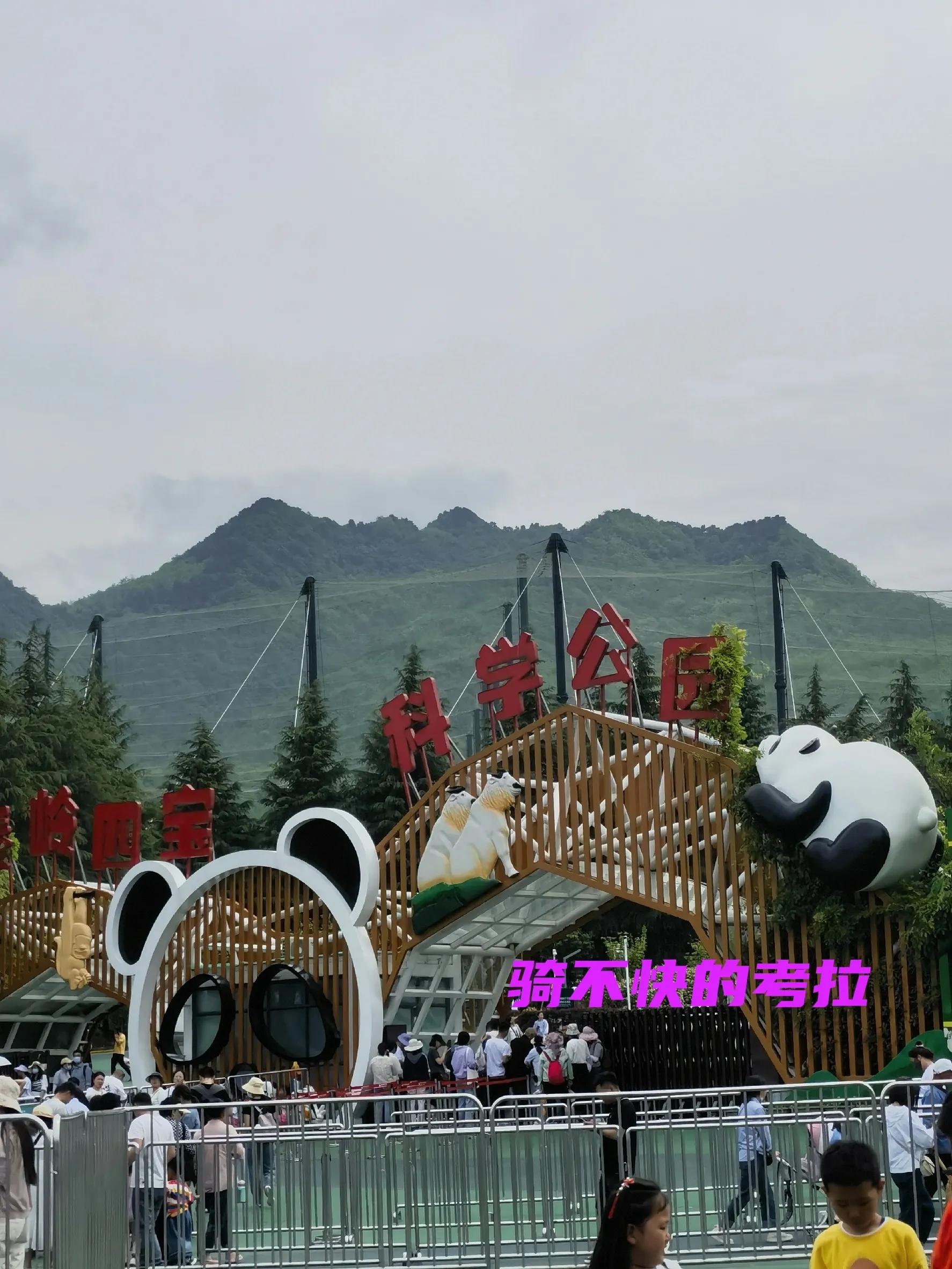 秦岭四宝大熊猫羚牛朱鹮金丝猴 (秦岭四宝科学公园多少大熊猫)