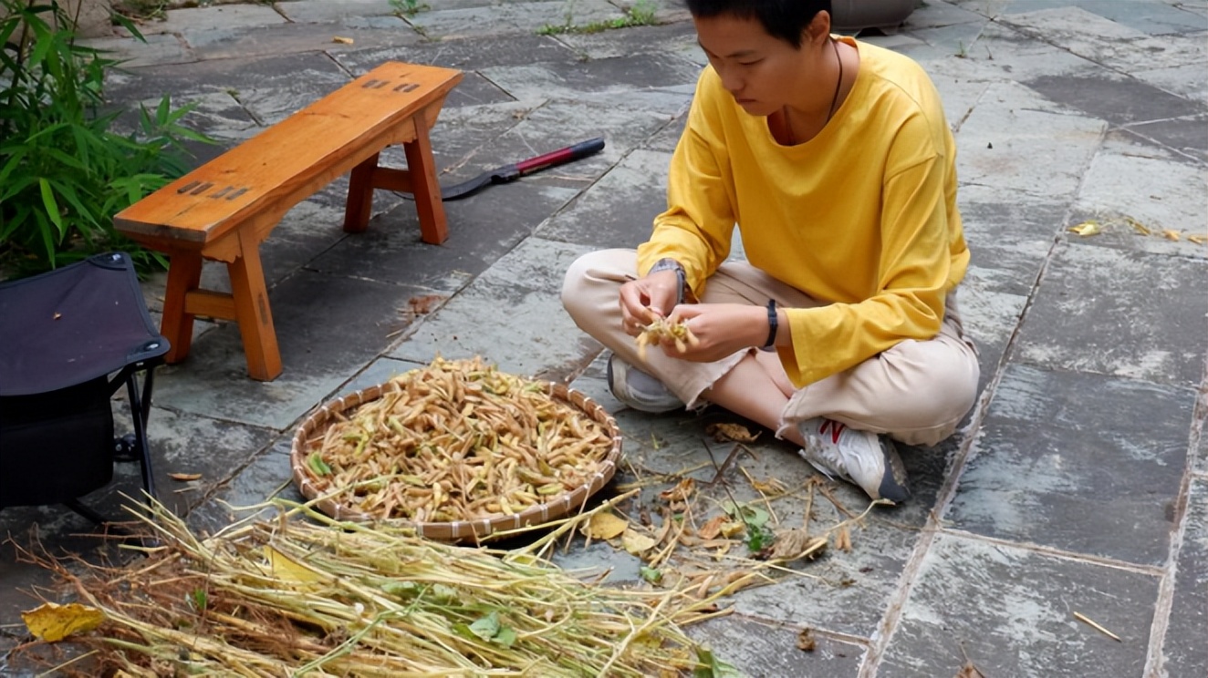 在云南沙溪，年轻人彻底躺平，你们这样让资本家急了