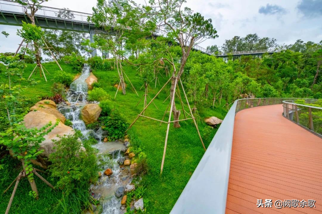 珠海情侣路打卡景点在哪里,珠海必打卡景点