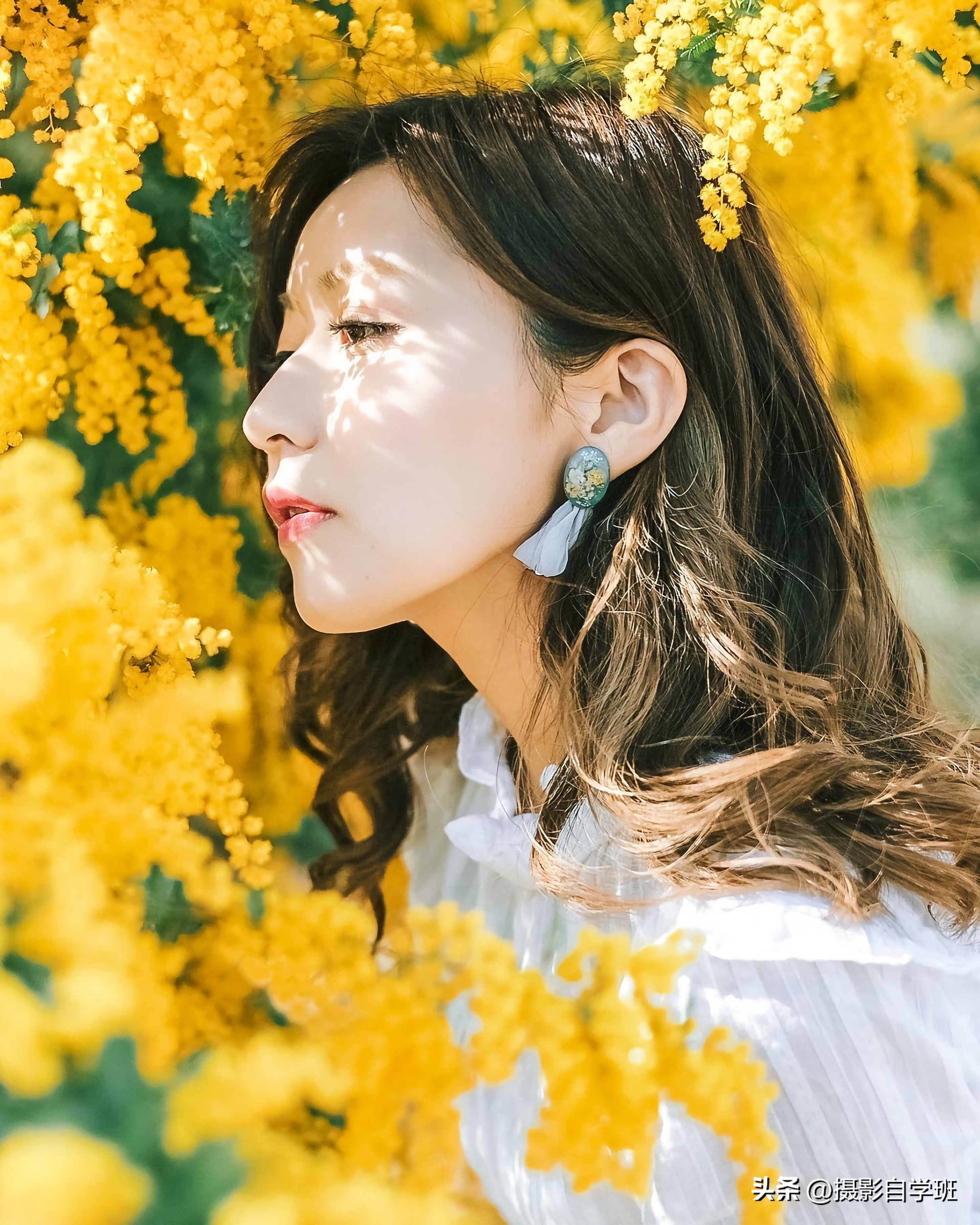 十大风景摄影技巧图片,摄影图片风景怎么拍好看