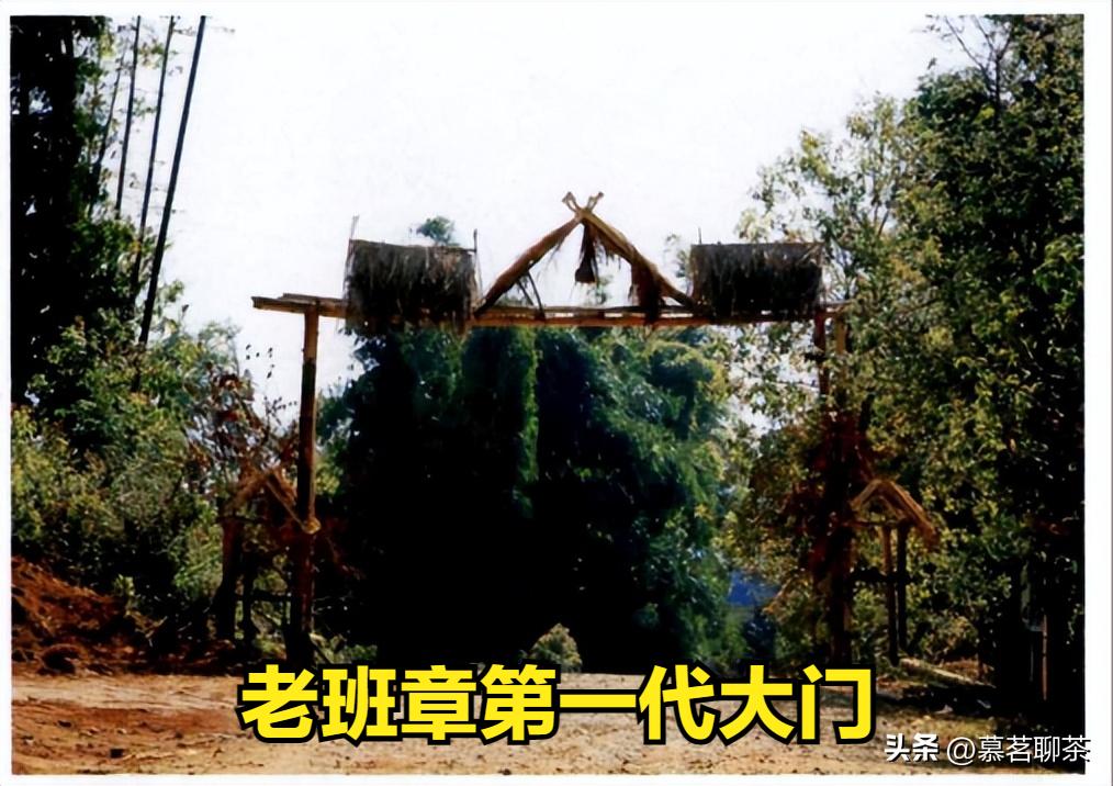 老班章之普洱茶界之最,普洱茶哪款老班章最好喝