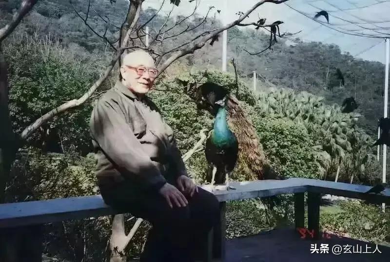 现在还有善知识吗？懂教理有实证的修行人，凤毛麟角！