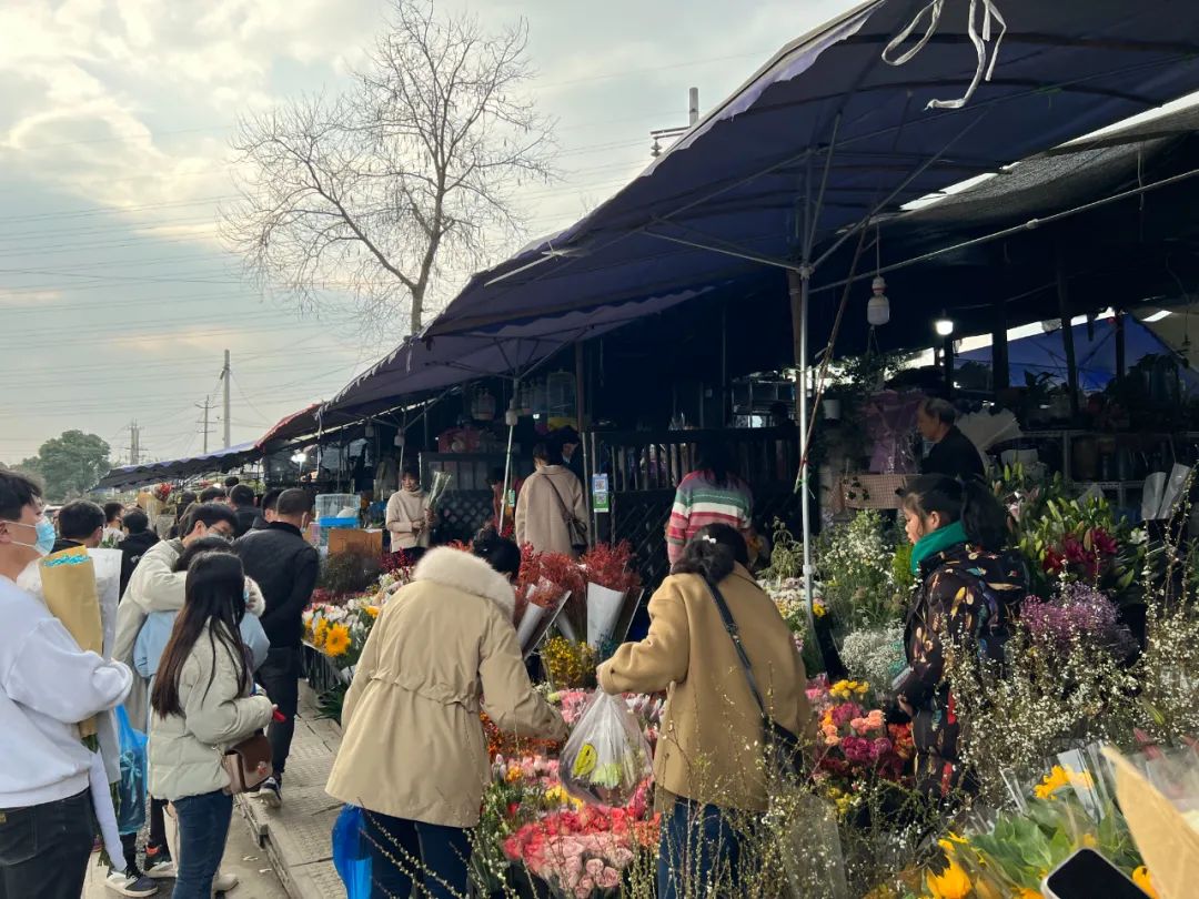 情人节哪个地方卖玫瑰花最畅销,情人节哪里买玫瑰最便宜