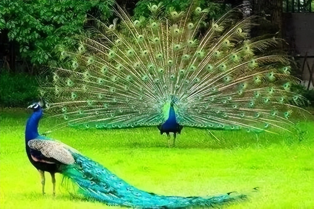 郑州市五一旅行,五一郑州游