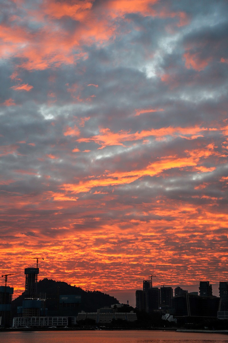 深圳ENJOY｜城市漫游指南·蛇口