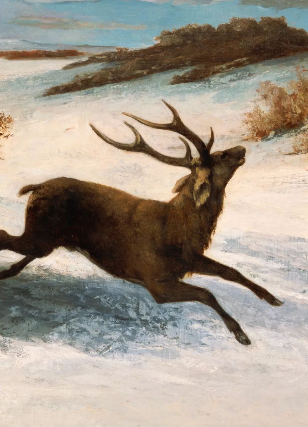 库尔贝油画维纳斯,库尔贝画的人物画