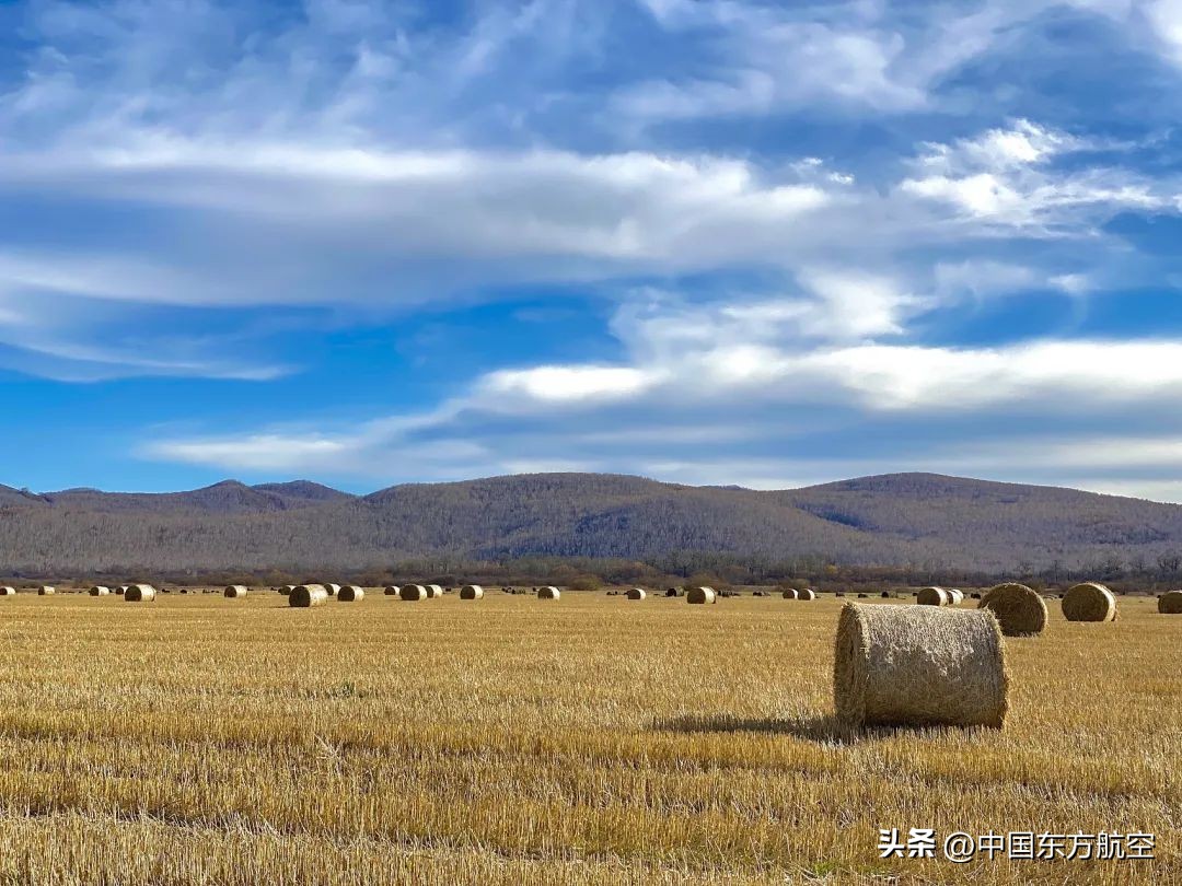 想和你去秋天第一场约会,邀你来一场秋天的约会
