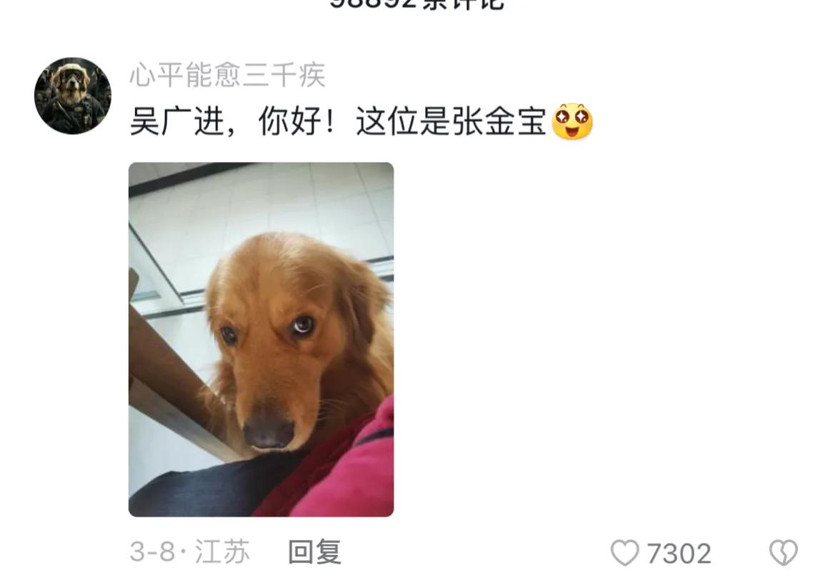 千万别给宠物取个名字,取一个仙气的宠物名字