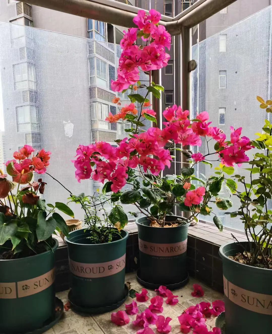 裸辞陪娃还是工作好,31岁男生裸辞后的生活真实感受