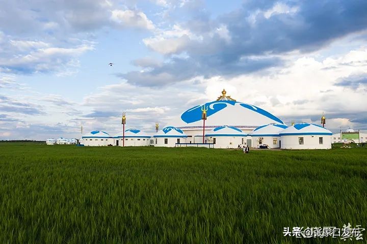 来坝上草原的第二天,坝上草原真实感受