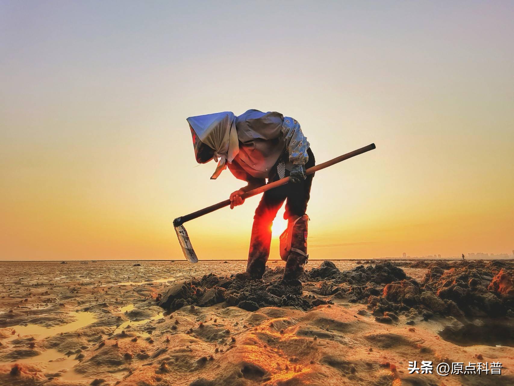 十大不起眼的赚钱行业排行榜最新,小县城利润最高的不起眼行业赚钱