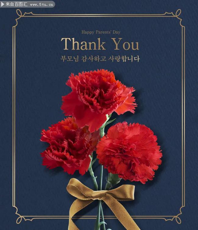 康乃馨花束壁纸,康乃馨壁纸手机超清全面屏