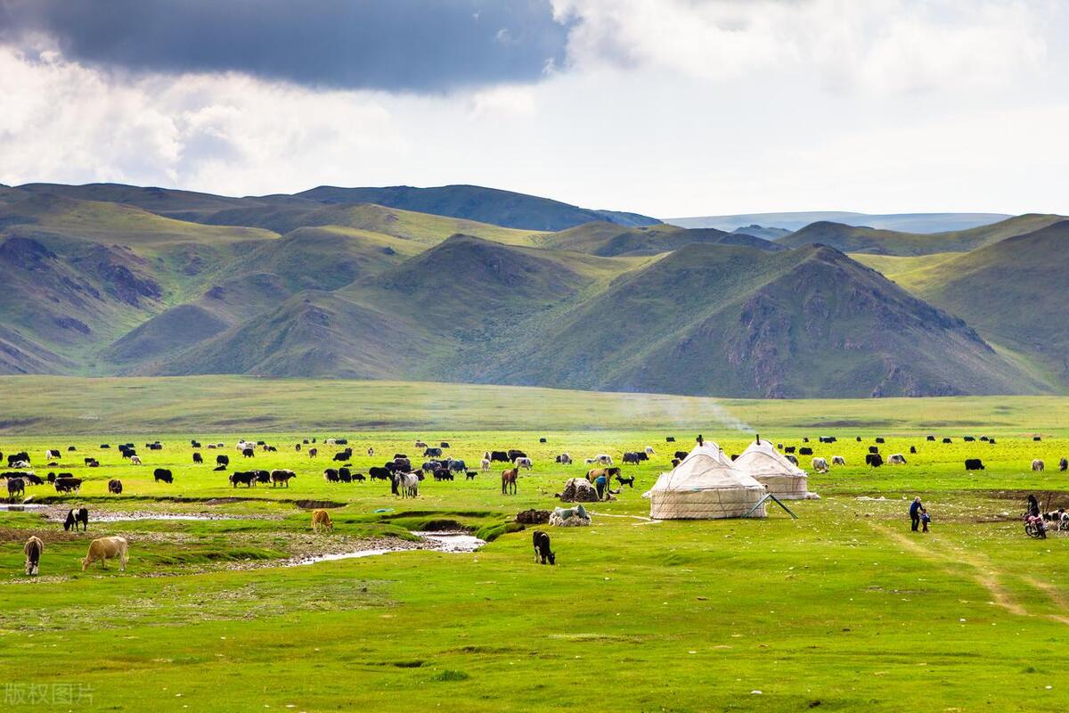 游牧业的生态与社会影响:跨学科综述与分析