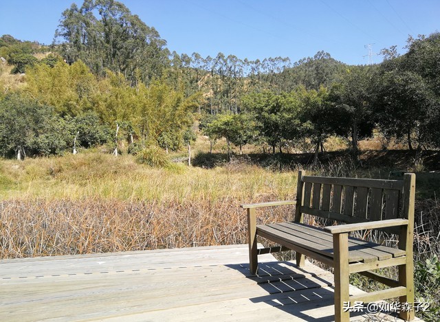 22年养牛和养羊哪个赚钱更有前景,养猪养牛养羊哪个赚钱的多