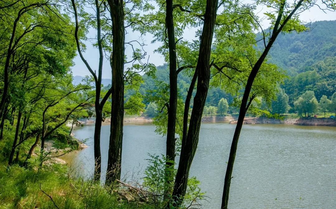 济南大自然氧吧,济南氧吧景区
