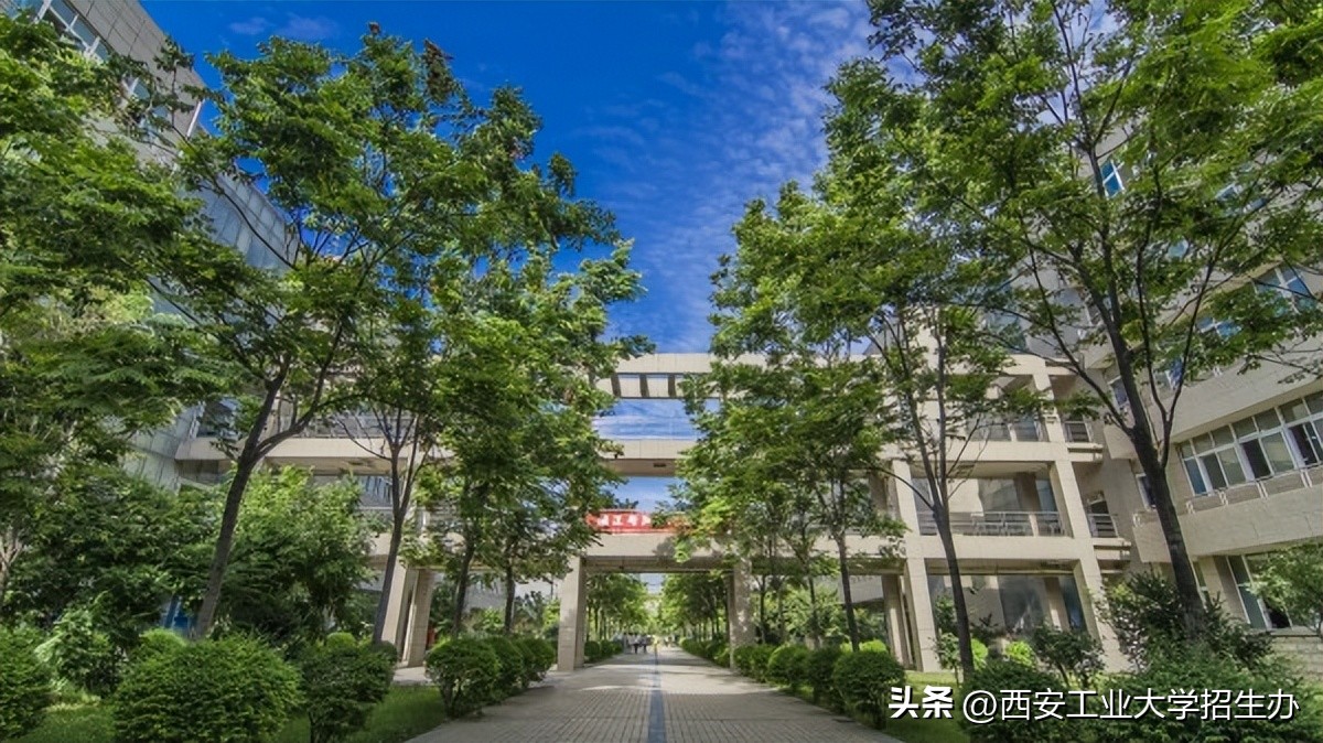 最大规模、最具挑战！西安工大“本科学霸团”拿下2项全国一等奖