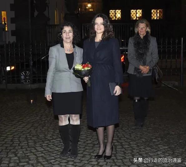 瑞典公主索菲亚图片,瑞典王妃索菲亚年轻时照片