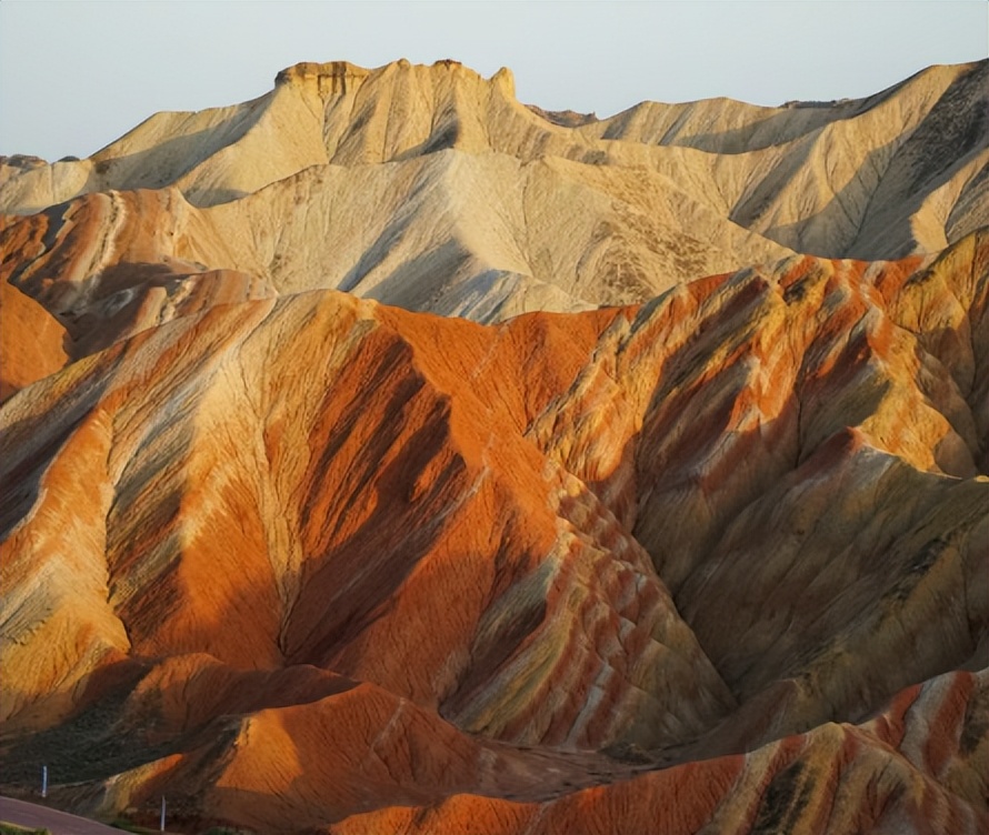 带你走进醉美胡杨林,陕西中旅铜川