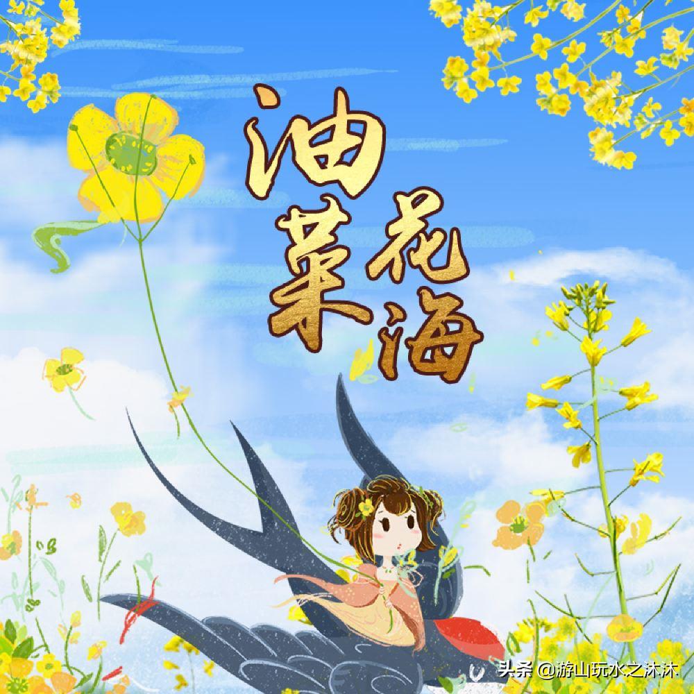 看油菜花的好地旅游攻略,看油菜花哪里最值得去