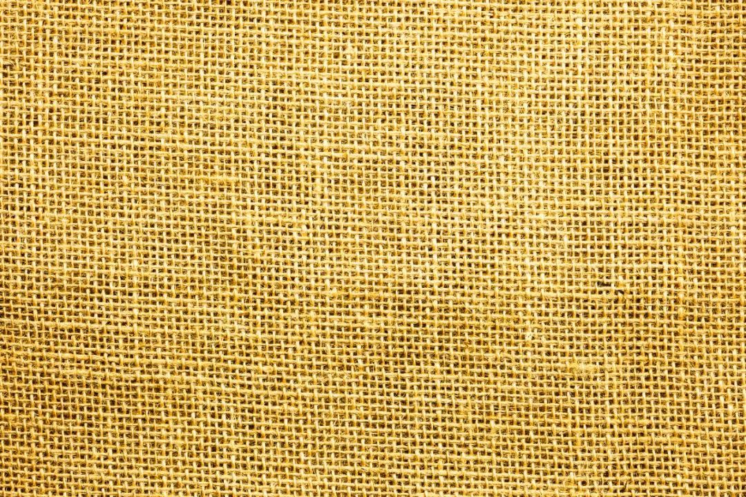 苎麻在哪本医书里被称为中国草,苎麻草如何寻找