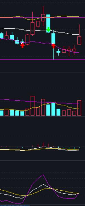 飞跃布林线实战图解,布林线使用准确吗