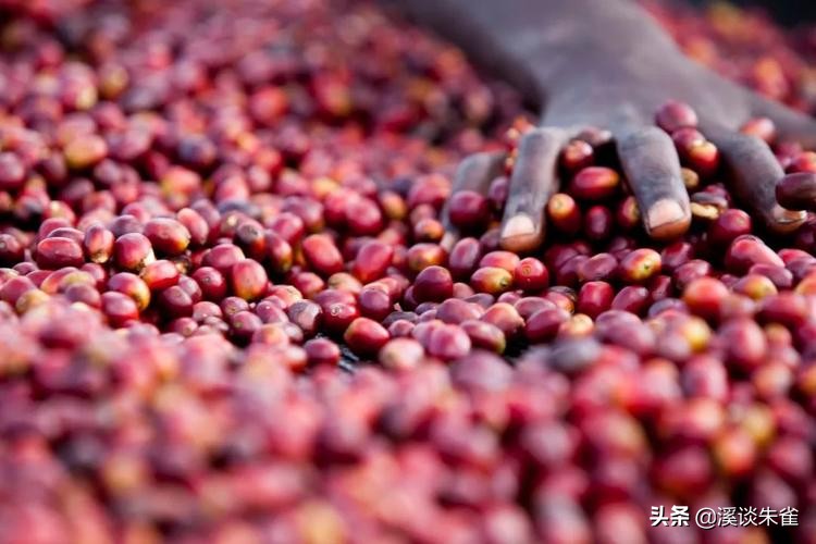 各国奇怪又好吃的美食,各国奇葩菜肴