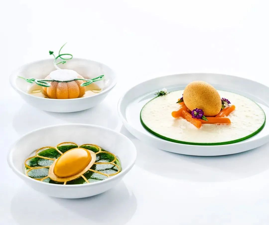 2023博古斯世界烹饪大赛超燃剪辑 (博古斯世界烹饪大赛中国代表队)