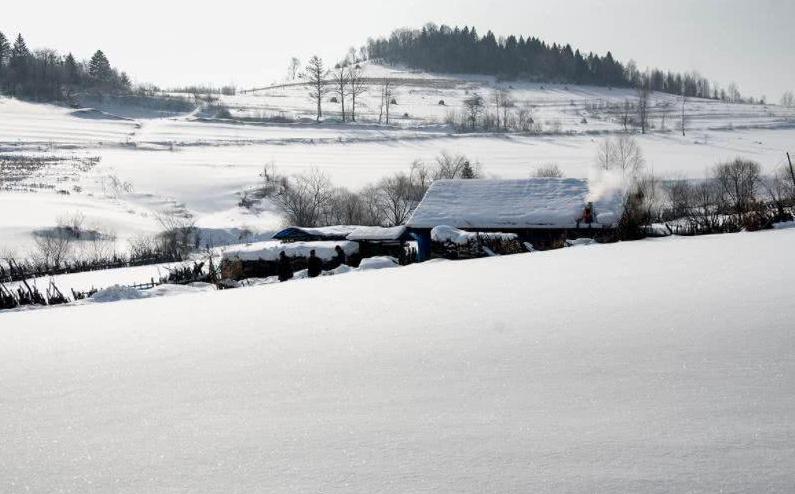 描写冬的诗句20首,关于冬景的诗句及诗意