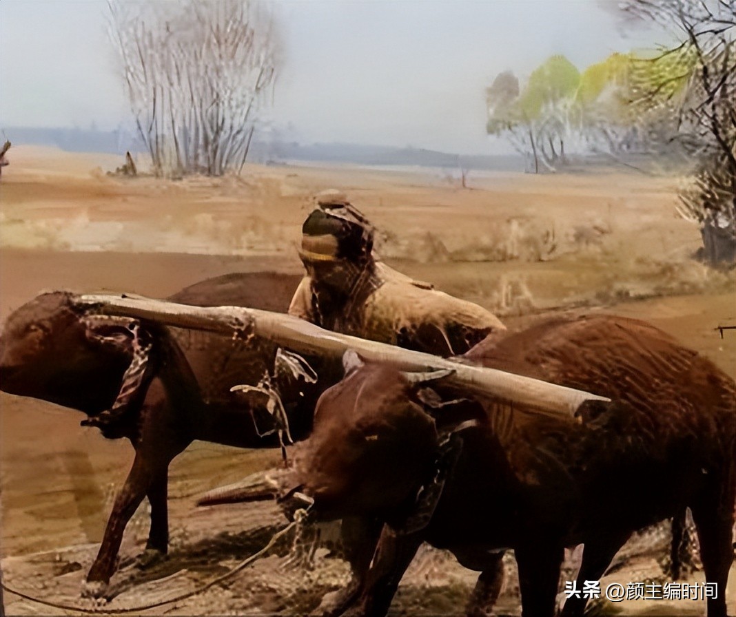 南通市海门区的由来,南通海门典故