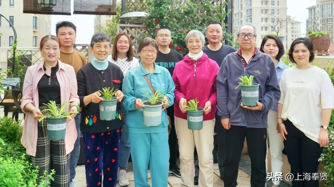 春归入夏，在萱草花盛开的日子里，致敬最美的妈妈！
